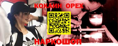гидра Будённовск