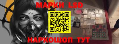 гидра Будённовск