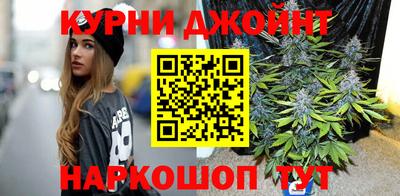 гидра Будённовск