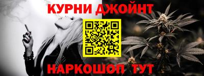 гидра Будённовск