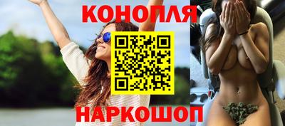 гидра Будённовск