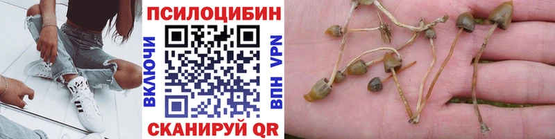 OMG онион  Грязи  Псилоцибиновые грибы прущие грибы  где найти  
