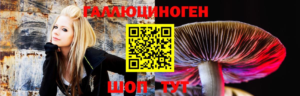Грязи  Галлюциногенные грибы Psilocybine cubensis  Вход с VPN  Галлюциногенные грибы Cubensis 
